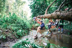 BIB: 
                            <button type="button" onclick="openModal(25515635)" class="btn btn-primary btn-sm float-right btn-popup" data-toggle="modal" data-target=".modal-high-quality">
                        <i class="fas fa-shopping-cart"></i> Add to Cart
                    </button>
                                            <button type="button" onclick="isThisMe(25515635, true)" class="btn btn-success btn-sm float-right btn-popup btn-isme hidden" data-toggle="tooltip" data-placement="bottom" title="นี่คือรูปของคุณใช่ไหม คลิกที่นี่เพื่อเอาเข้าอัลบั้ม">
                        <i class="fas fa-plus"></i> Add to album
                    </button>
                    <button type="button" onclick="isThisMe(25515635, false)" class="btn btn-warning btn-sm float-right btn-popup btn-isnotme hidden">
                        <i class="fas fa-ban"></i> Remove from album
                    </button>